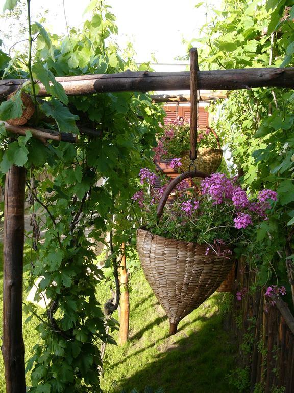 Albergo 'La Vigna' Procida Esterno foto