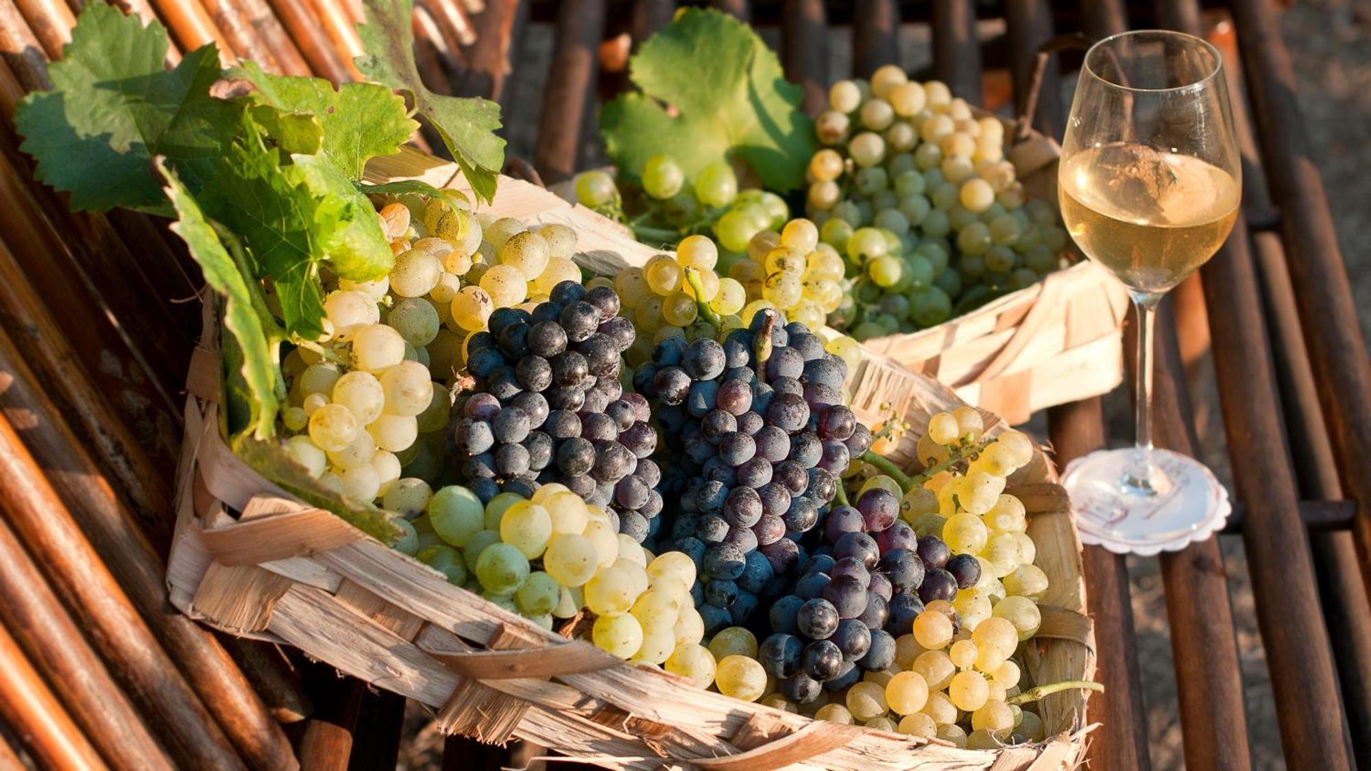 Albergo 'La Vigna' Procida Esterno foto