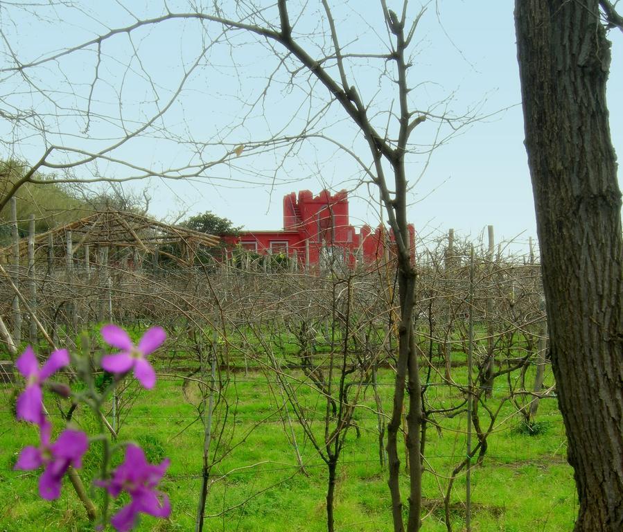 Albergo 'La Vigna' Procida Esterno foto