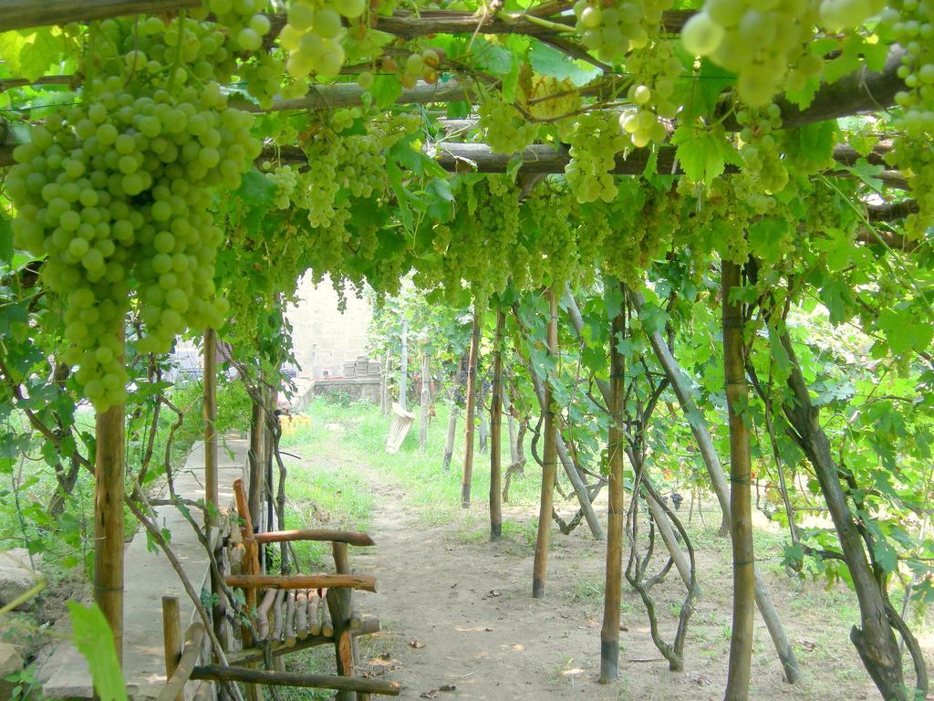 Albergo 'La Vigna' Procida Esterno foto
